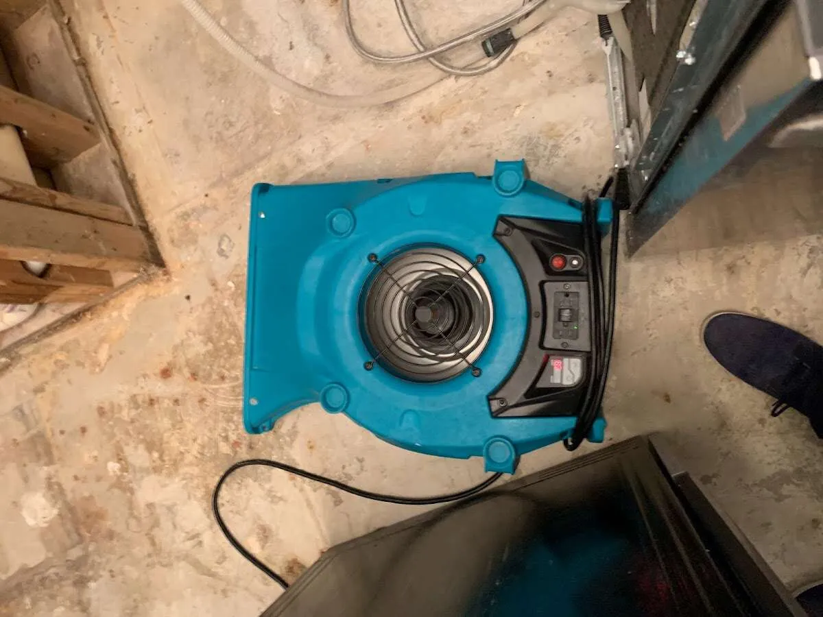 Air mover drying equipment for Mold Remediation & Removal in High Point